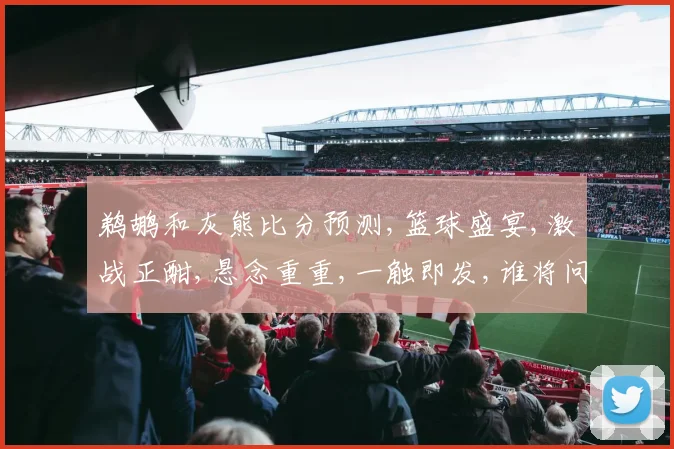 鹈鹕和灰熊比分预测,篮球盛宴,激战正酣,悬念重重,一触即发,谁将问鼎