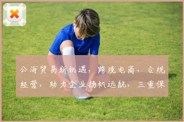 公海贸易新机遇，跨境电商，合规经营，助力企业扬帆远航，三重保障，共赢未来。